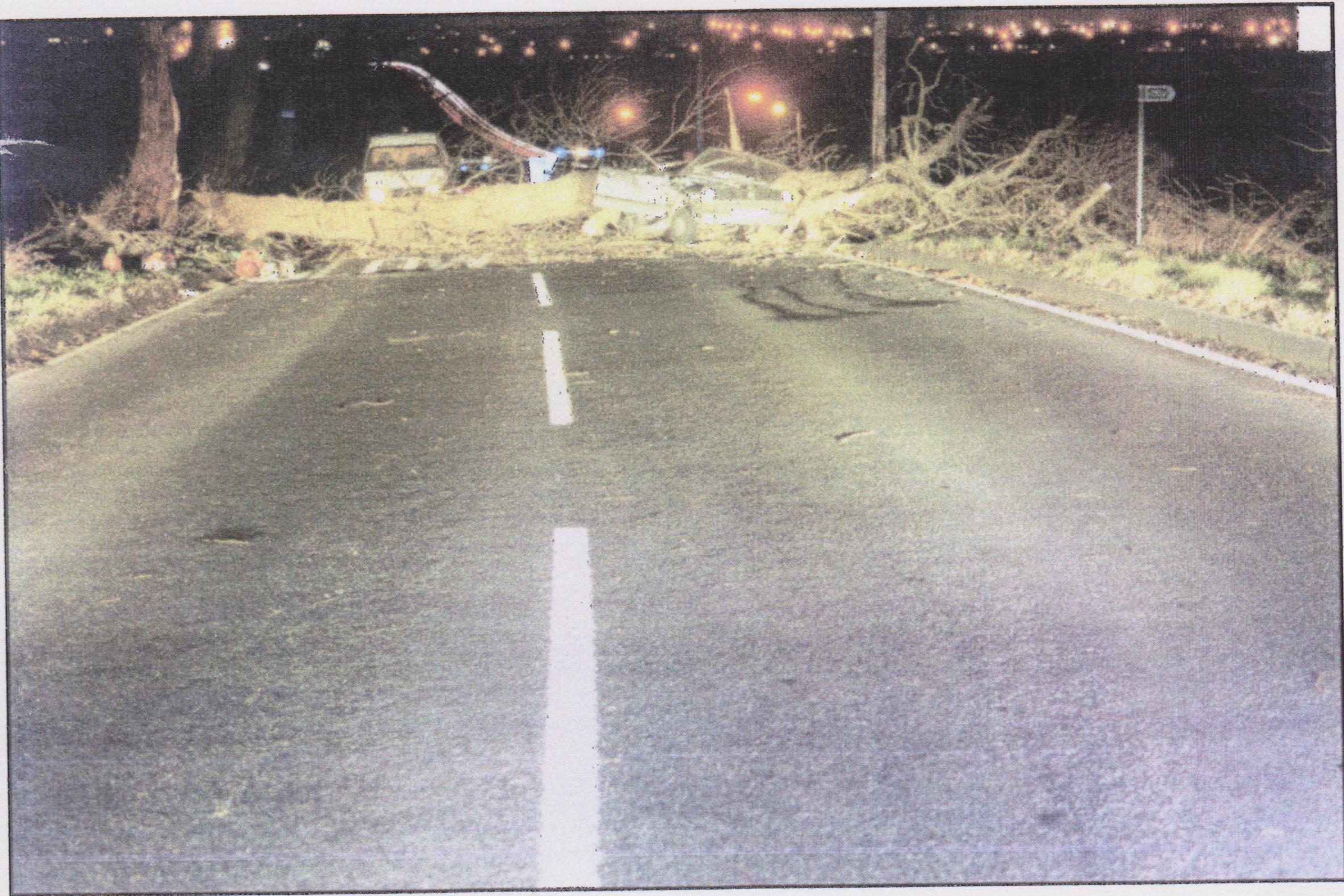 The scene on 30 November 1999 — a storm-felled tree across the road with Mike's car crushed beneath it